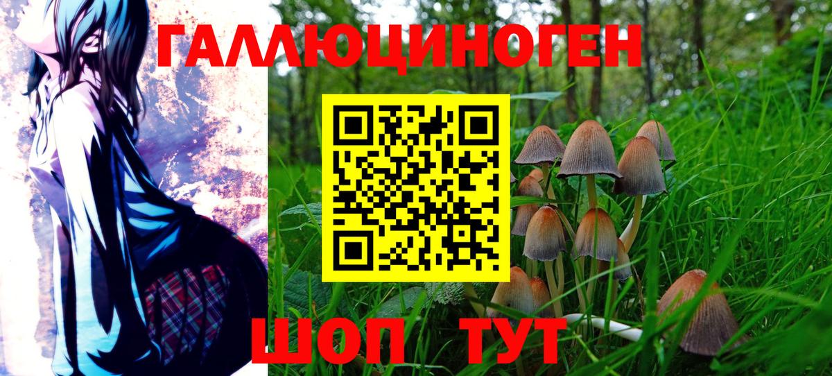 Псилоцибиновые грибы Psilocybine cubensis  купить наркоту  Октябрьский  Вход с VPN  Псилоцибиновые грибы GOLDEN TEACHER 