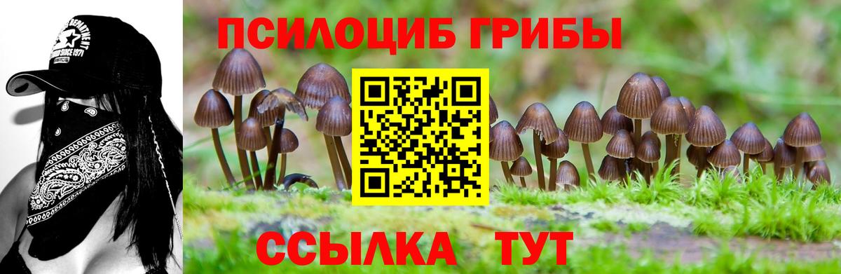 Псилоцибиновые грибы ЛСД Октябрьский